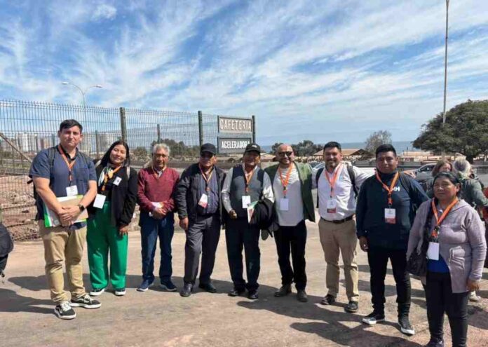 INIA Ururi participó en histórico encuentro regional para fortalecer la ganadería camélida en Sudamérica