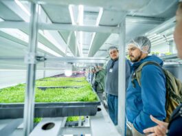 Inauguran sistema que produce hortalizas todo el año con bajo consumo hídrico