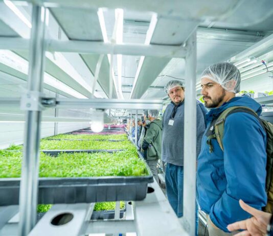 Inauguran sistema que produce hortalizas todo el año con bajo consumo hídrico