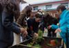 Inauguran tres nuevos Patio Vivo Cultivable en liceos técnico-profesionales de la Región de Los Lagos