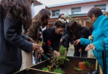 Inauguran tres nuevos Patio Vivo Cultivable en liceos técnico-profesionales de la Región de Los Lagos