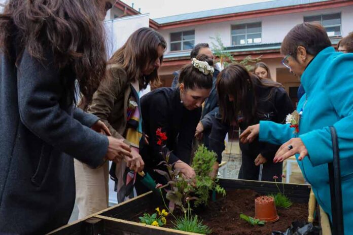 Inauguran tres nuevos Patio Vivo Cultivable en liceos técnico-profesionales de la Región de Los Lagos