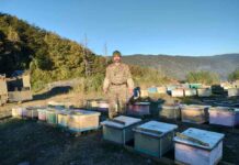 Marcelo Rodríguez, el apicultor chileno que transforma el bosque y es reconocido por FAO a nivel mundial