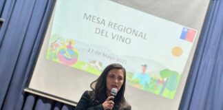 Mesa del vino abordó medidas para apoyar trabajo de viñateros en la región del Biobío