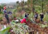 Ministerio del Medio Ambiente, CONAF y FAO invitan a sumar iniciativas de restauración en nuevo registro nacional