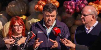 Ministro Valenzuela destaca baja de hasta un 50% en el precio de los cítricos durante estas semanas