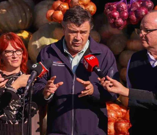 Ministro Valenzuela destaca baja de hasta un 50% en el precio de los cítricos durante estas semanas