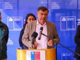 Ministro de Agricultura descarta alza significativa en el precio del pollo tras suspensión de importaciones desde Brasil