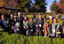 Ministro de Agricultura en vigésimo Trawü Forestal: “Estamos completando la transformación sustentable del sector forestal”