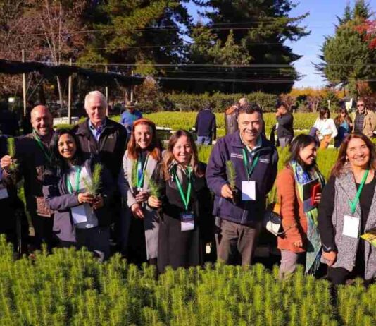 Ministro de Agricultura en vigésimo Trawü Forestal: “Estamos completando la transformación sustentable del sector forestal”