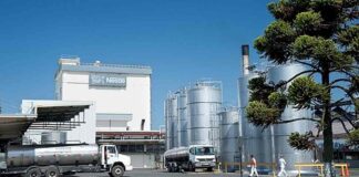 Nestlé anunció el cierre de su planta de lácteos en Llanquihue