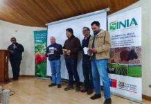 https://www.portalagrochile.cl/2025/05/27/inia-chile-impulsa-cooperacion-cientifica-en-taller-de-fontagro-realizado-en-estados-unidos/