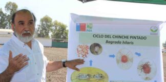 Premian a Ernesto Cisternas por 40 años de legado en protección vegetal 