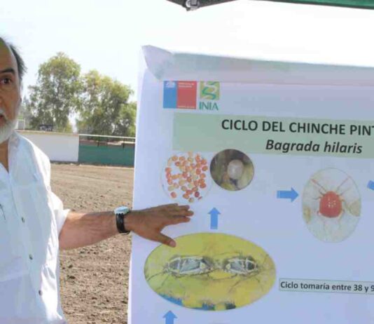 Premian a Ernesto Cisternas por 40 años de legado en protección vegetal 