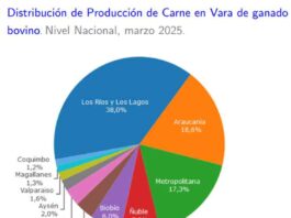 Producción de carne en vara de ganado bovino de la Región del Biobío presentó una disminución interanual de 4,6% en marzo de 2025