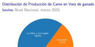 Producción de carne en vara de ganado bovino de la Región del Biobío presentó una disminución interanual de 4,6% en marzo de 2025