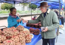 Productores destacaron apertura de nuevos productos en feria campesina de Concepción