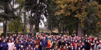 Gobierno promulga ley que crea el nuevo Servicio Nacional Forestal