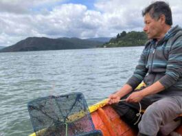 Proyectan continuidad de la acuicultura de pequeña escala en Los Ríos tras cierre de proyecto