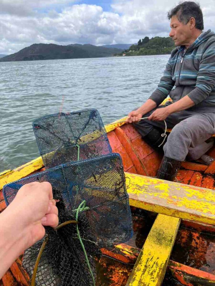 Proyectan continuidad de la acuicultura de pequeña escala en Los Ríos tras cierre de proyecto