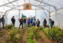 Proyecto impulsa invernaderos para fortalecer el cultivo de hortalizas