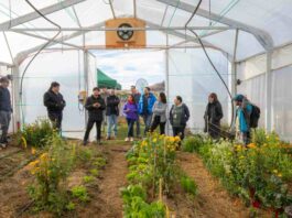 Proyecto impulsa invernaderos para fortalecer el cultivo de hortalizas