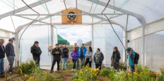 Proyecto impulsa invernaderos para fortalecer el cultivo de hortalizas