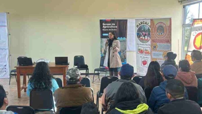 Seminario abordó importancia de la formalización para ingresar a mercados internacionales del sector apícola