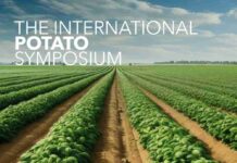 The International Potato Symposium en Macfrut 2025