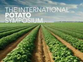 The International Potato Symposium en Macfrut 2025