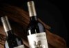 The Wine Advocate deja al vino chileno Viola 2021 como el mejor Carménère del mundo
