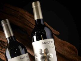 The Wine Advocate deja al vino chileno Viola 2021 como el mejor Carménère del mundo