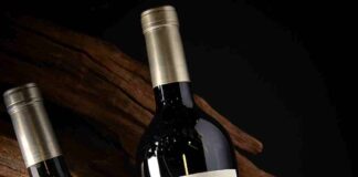 The Wine Advocate deja al vino chileno Viola 2021 como el mejor Carménère del mundo