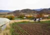 “Tierras Vivas”: Bienes Nacionales e INDAP reducen en 50% el arriendo de terrenos fiscales a agricultores