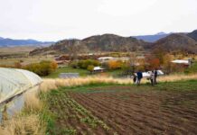 “Tierras Vivas”: Bienes Nacionales e INDAP reducen en 50% el arriendo de terrenos fiscales a agricultores