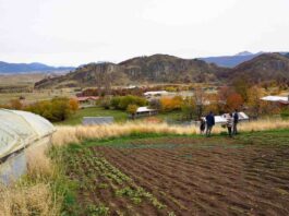 “Tierras Vivas”: Bienes Nacionales e INDAP reducen en 50% el arriendo de terrenos fiscales a agricultores