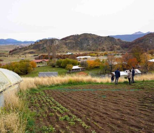 “Tierras Vivas”: Bienes Nacionales e INDAP reducen en 50% el arriendo de terrenos fiscales a agricultores