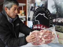 Cooperativas de artesanas textiles y productores ovinos apoyadas por INDAP reciben Sello de Origen otorgado por INAPI