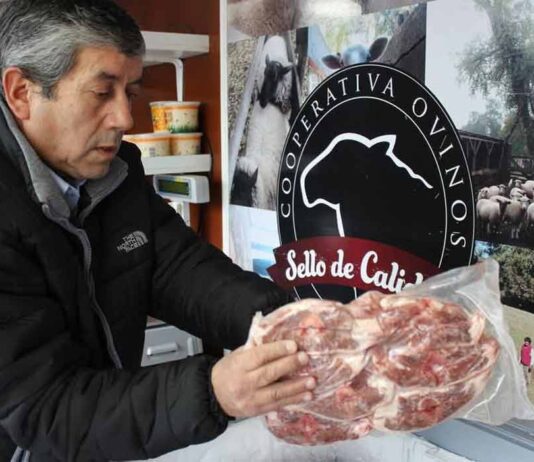 Cooperativas de artesanas textiles y productores ovinos apoyadas por INDAP reciben Sello de Origen otorgado por INAPI