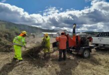Programa de Emergencia de Empleo genera trabajo con enfoque ambiental en 142 comunas del país