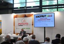 The International Potato Symposium en Macfrut 2025: carrera por la innovación en el sector de la patata