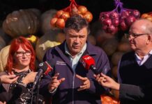 Ministro Valenzuela destaca baja de hasta un 50% en el precio de los cítricos durante estas semanas