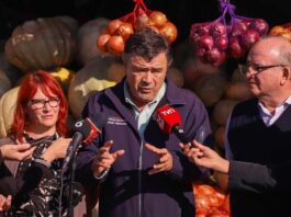 Ministro Valenzuela destaca baja de hasta un 50% en el precio de los cítricos durante estas semanas