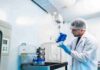 startup chilena diseña vacuna contra gripe aviar con larvas de mosca negra