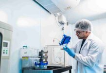 startup chilena diseña vacuna contra gripe aviar con larvas de mosca negra