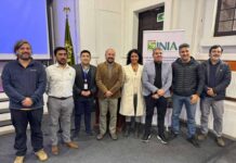 Comienza programa para optimizar el uso del agua en nuevas variedades de uva de mesa