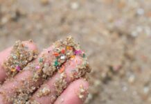 Académica de Geología advierte sobre presencia de microplásticos en suelos y su impacto en los ecosistemas terrestres