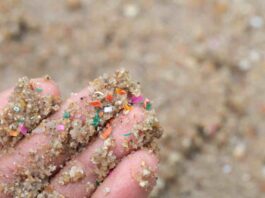 Académica de Geología advierte sobre presencia de microplásticos en suelos y su impacto en los ecosistemas terrestres