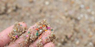 Académica de Geología advierte sobre presencia de microplásticos en suelos y su impacto en los ecosistemas terrestres