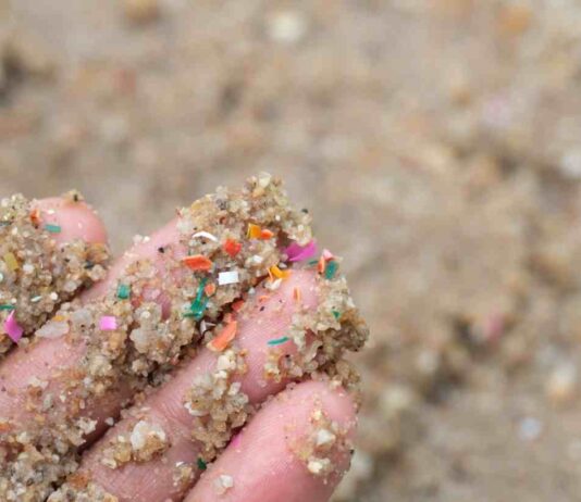 Académica de Geología advierte sobre presencia de microplásticos en suelos y su impacto en los ecosistemas terrestres
